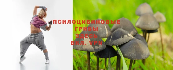 mdpv Армянск