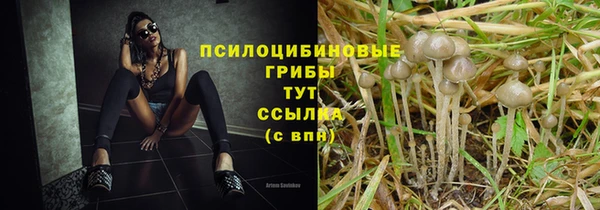 соль курить ск Аркадак