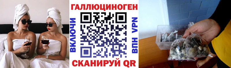 Галлюциногенные грибы прущие грибы цены Сунжа